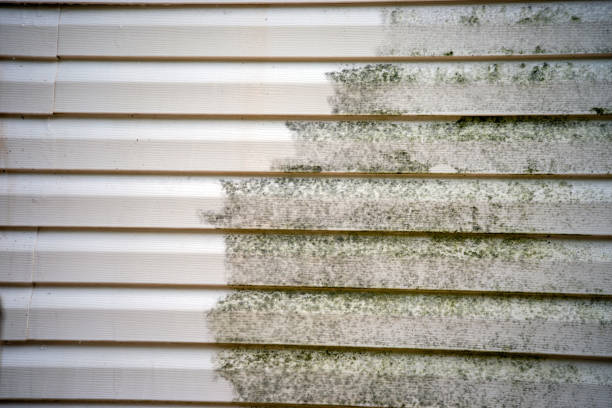 Best Property Management Cleanouts  in Dixon, MO