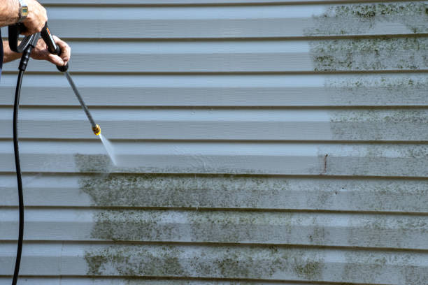Best Garage Cleanout  in Dixon, MO