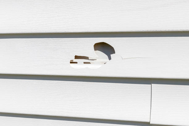 Best Shed Removal  in Dixon, MO